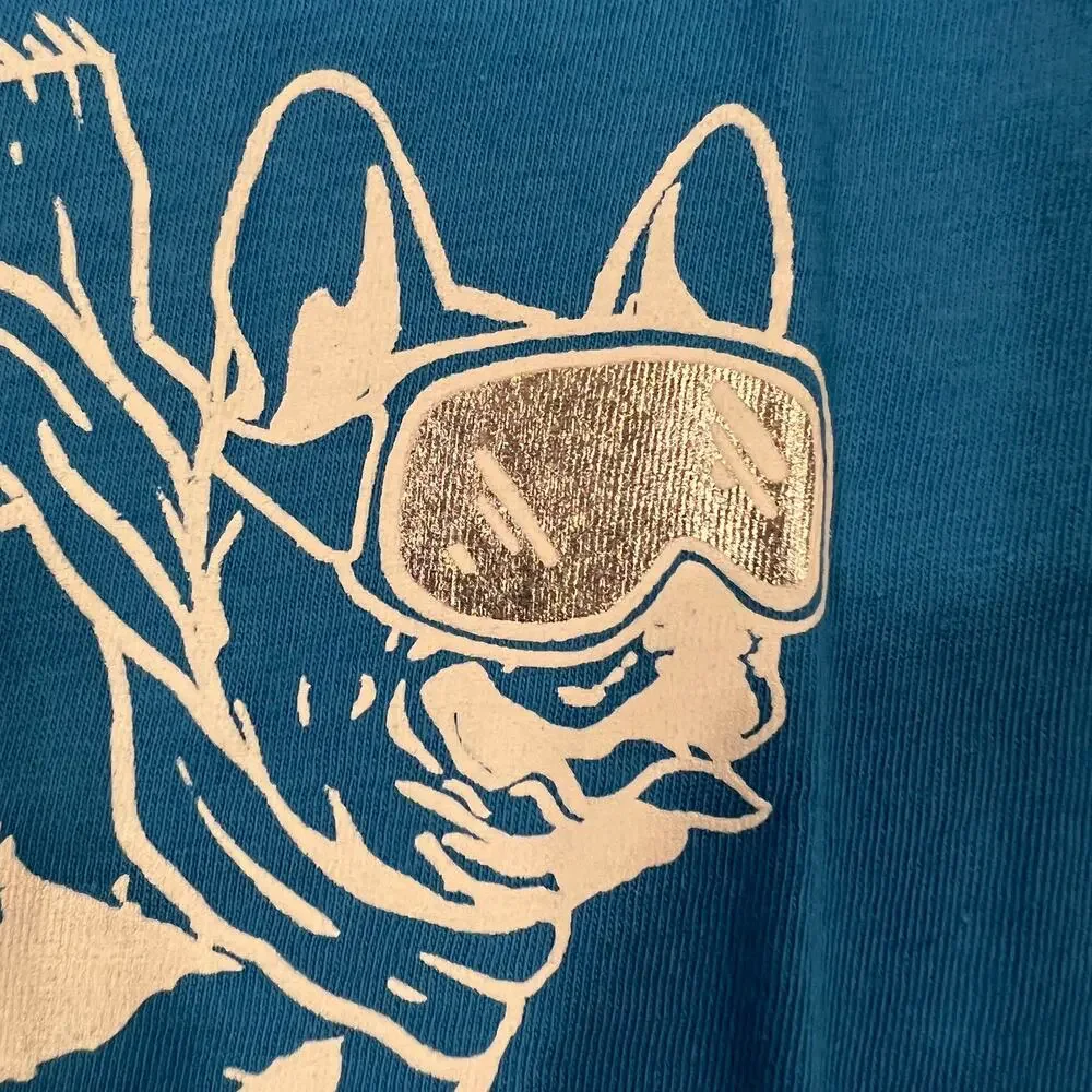 **NWT J. Crew Boys' Bright Blue W/Snowboard Dog Graphic Long Sleeve Tee